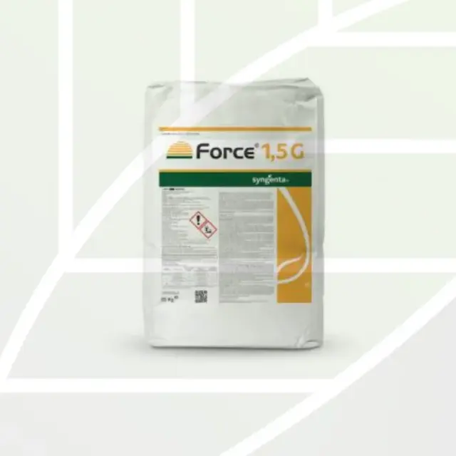 Force 1,5 G