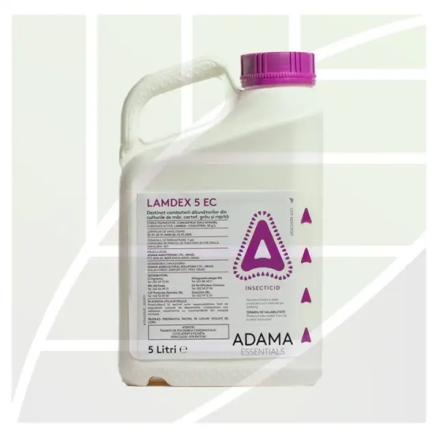 Lamdex 5 EC