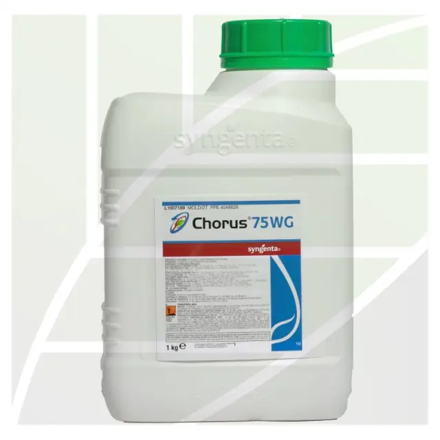 Chorus 75 WG