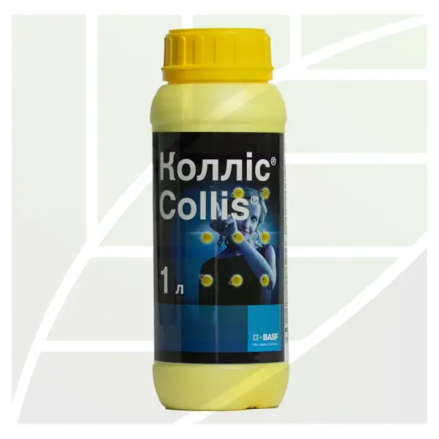 Collis®