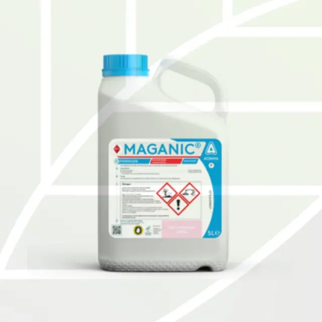 MAGANIC
