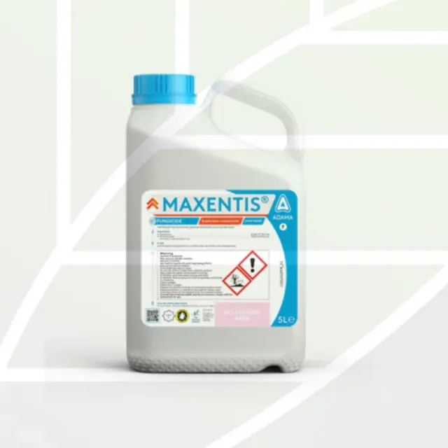 MAXENTIS