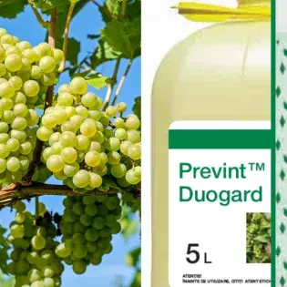 Prevint Duogard