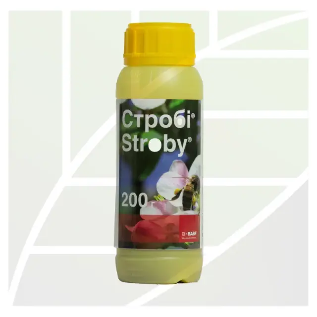 Stroby®