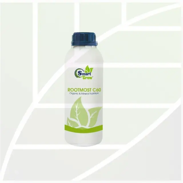 Smart Grow Rootmost-C60
