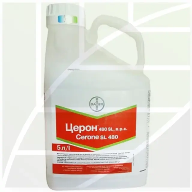 Cerone ® SL 480