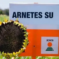 KWS ARNETES