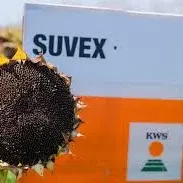 KWS SUVEX